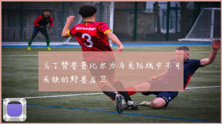 戈丁赞誉普比尔为马竞防线中不可或缺的野兽后卫