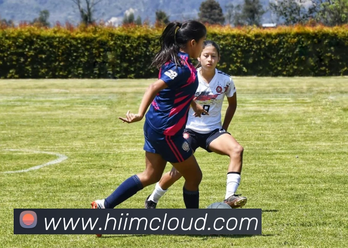 开云官方在线入口发展历程